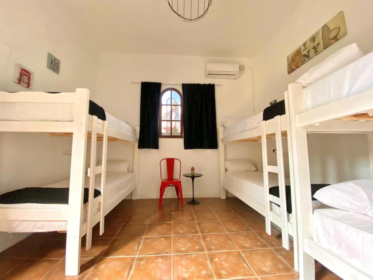 Ph Palermo Hostel ブエノスアイレス エクステリア 写真
